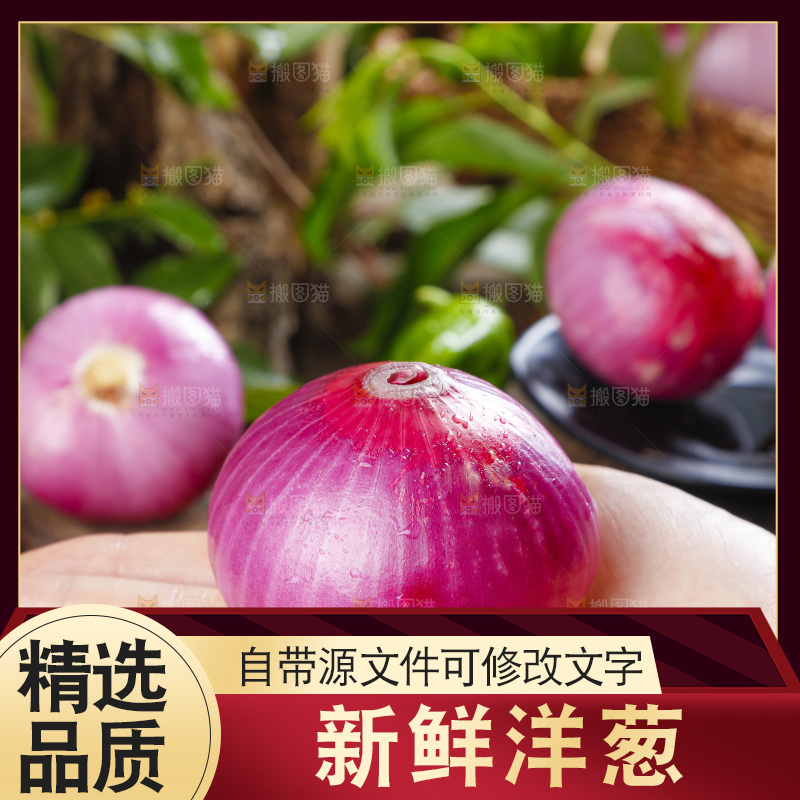 手里拿着新鲜洋葱