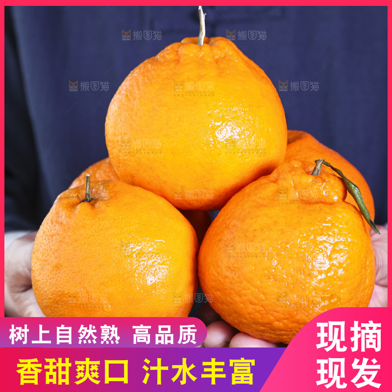 手里拿着耙耙柑