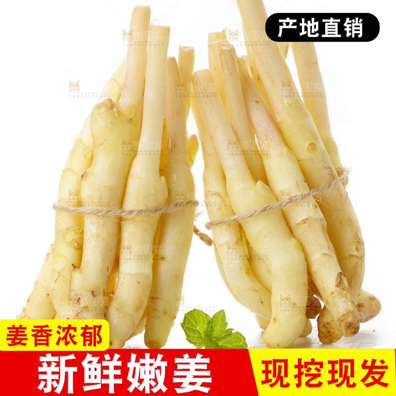 白底上的一堆新鲜生姜