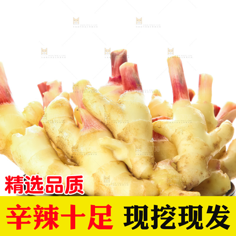 白底上的红芽嫩姜