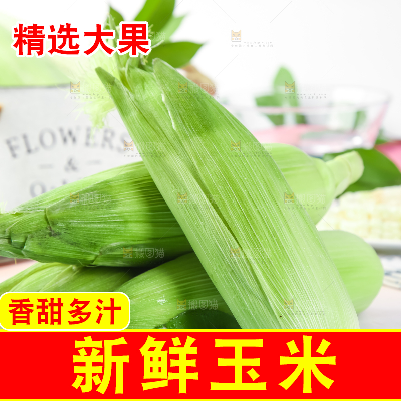 浅底上的牛奶水果玉米