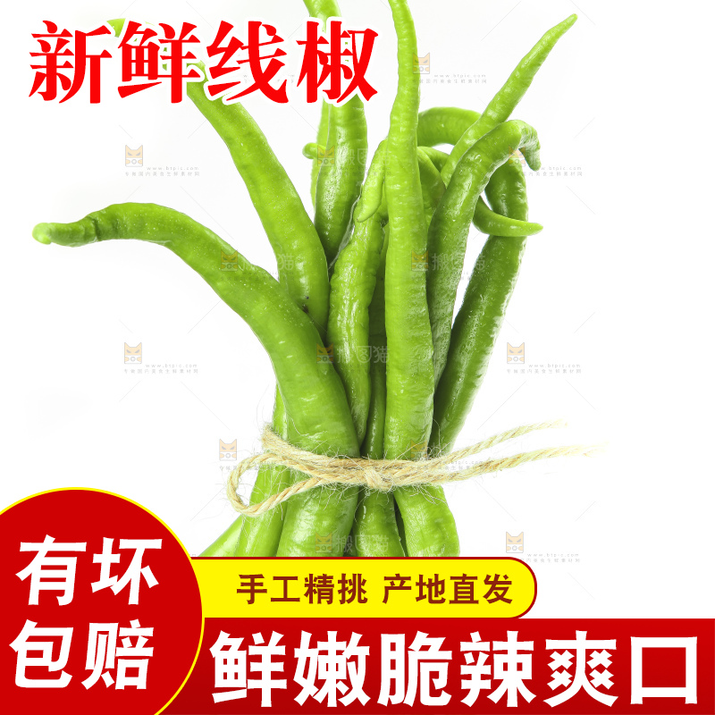 白底上的新鲜青辣椒