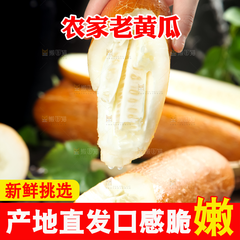 深底上放着老黄瓜