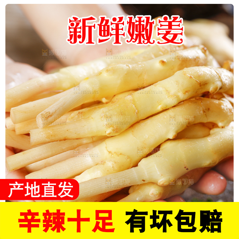 手里拿着四川生姜