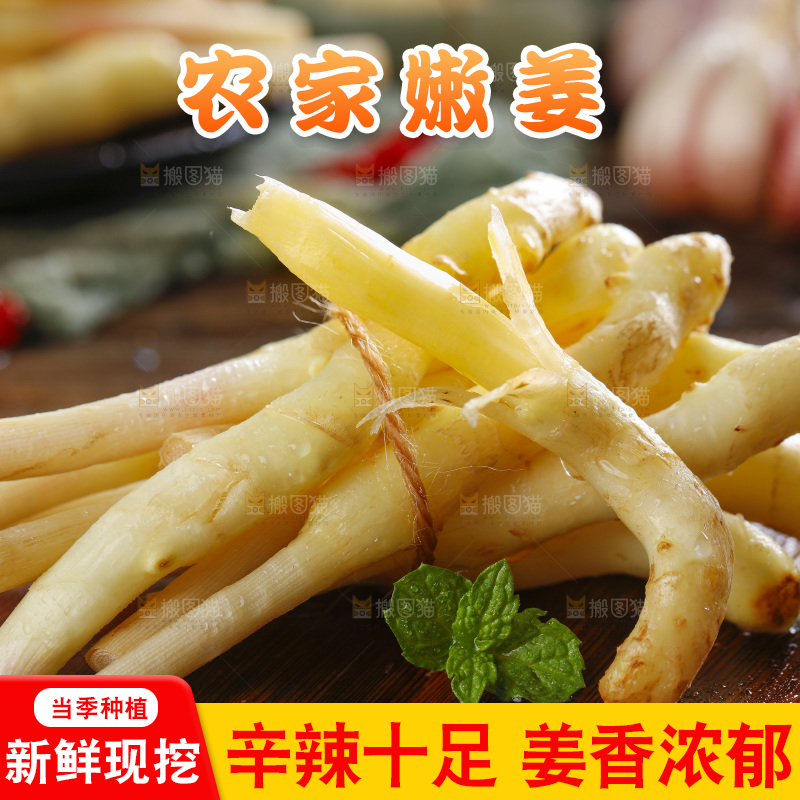 木板上放着山东嫩姜