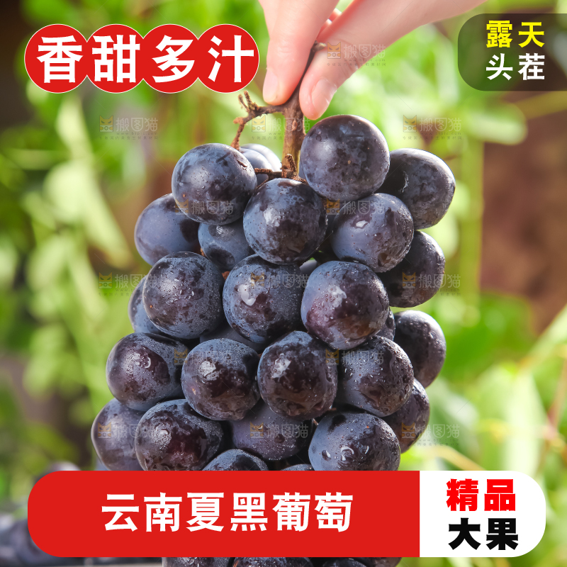 手里拿着新鲜葡萄