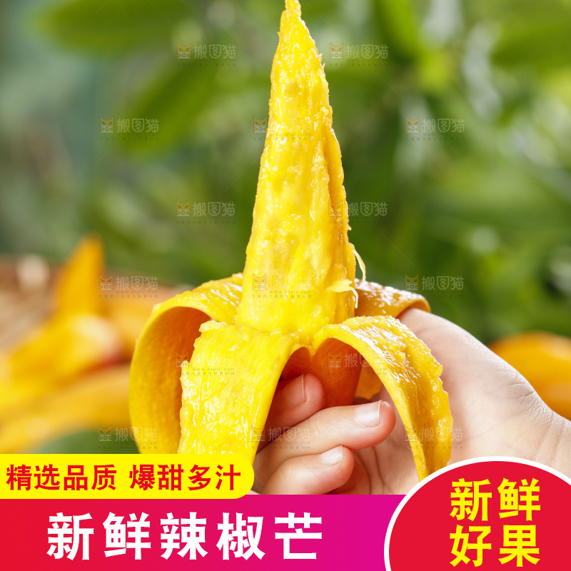 手里拿着新鲜芒果