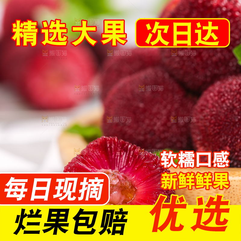 杨梅