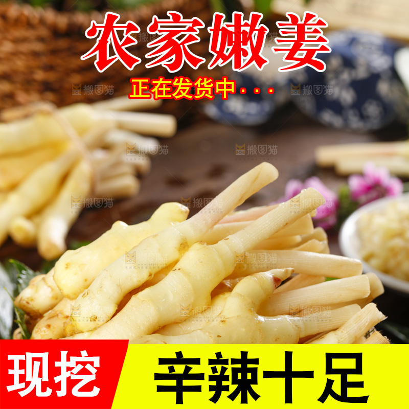 手里捧着一篮子嫩姜