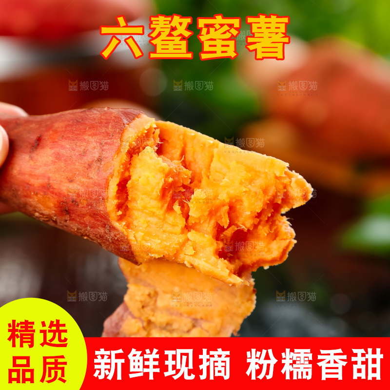 手里拿着板栗薯