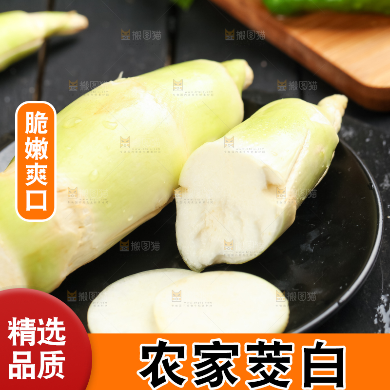 石板上的云南茭白