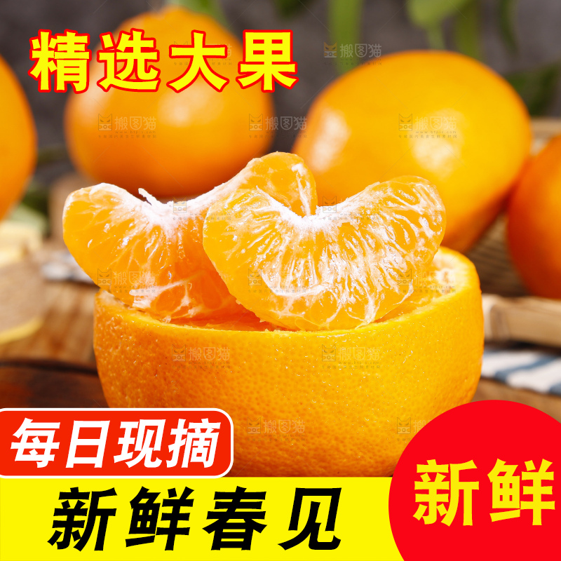 木板上的春见耙耙柑