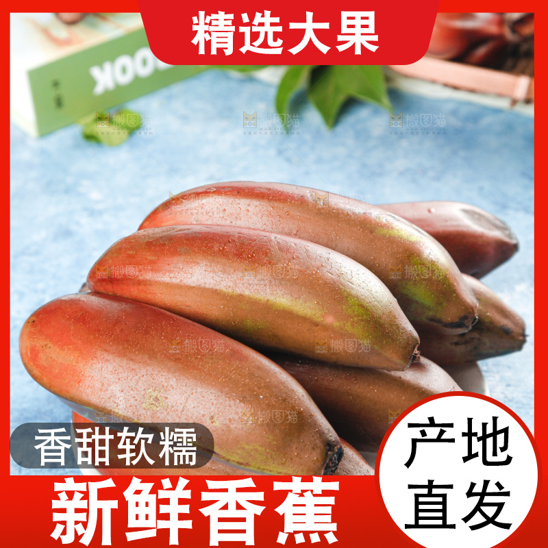 蓝底上摆放着红皮美人蕉