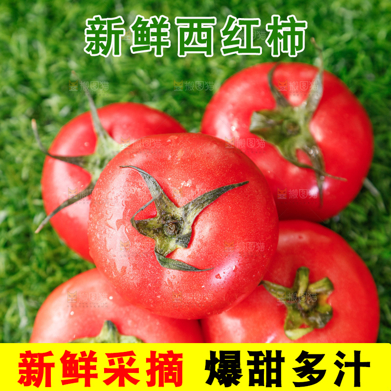 草地上的一堆新鲜西红柿