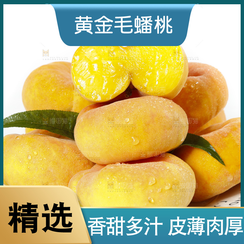 白底上的蒙阴毛蟠桃