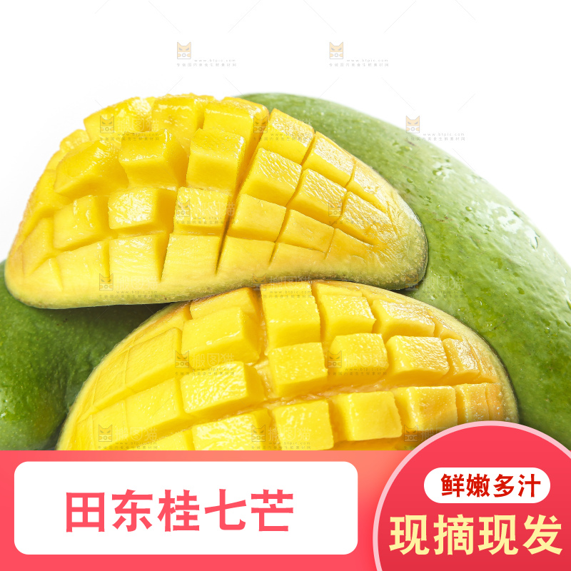 白底上的桂七香芒