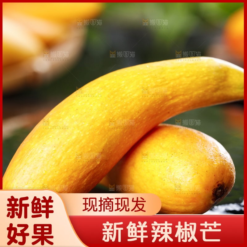 石板上的牙签芒