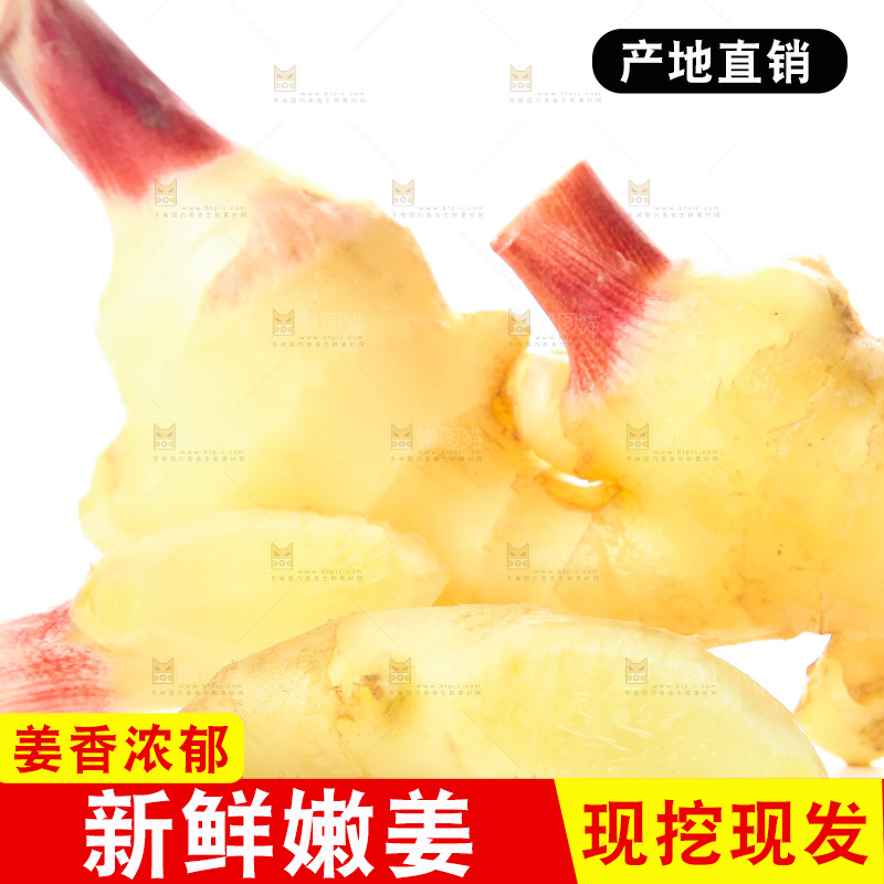 白底上的红芽嫩姜