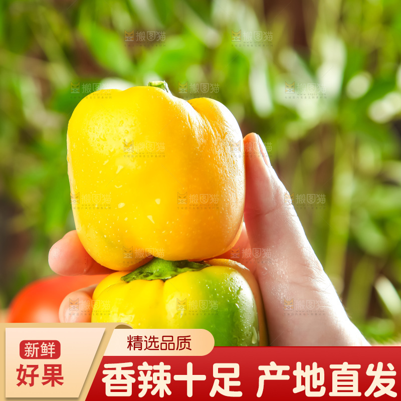 手里拿着新鲜辣椒