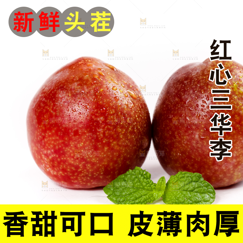 白底上的红肉三华李