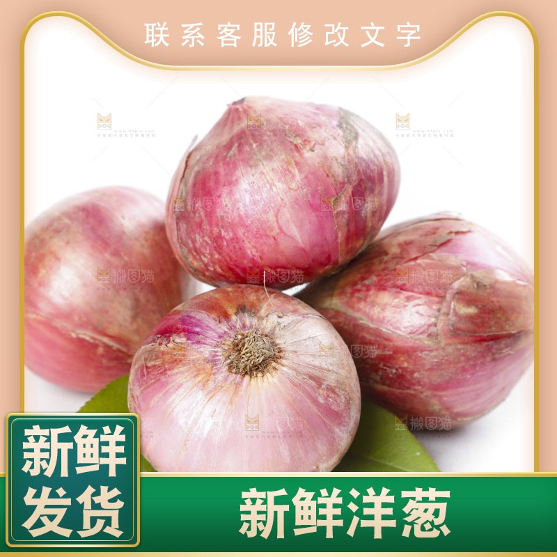 白底上放着洋葱