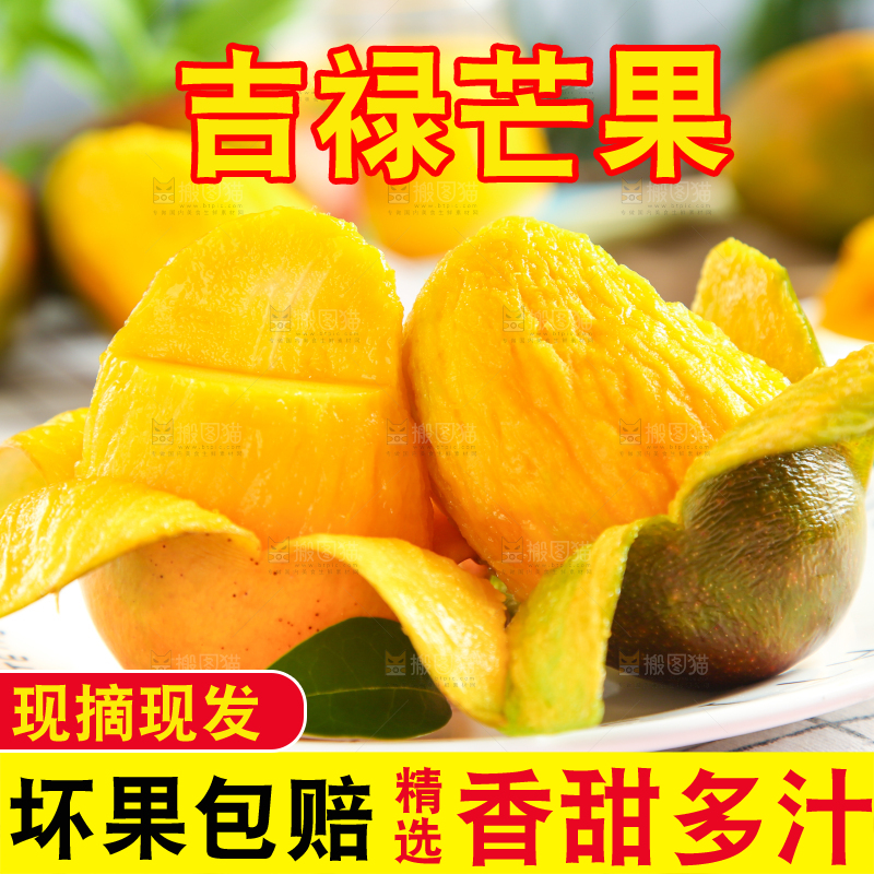 盘子里装着四川吉禄芒