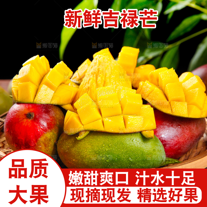 篮子里装着四川吉禄芒