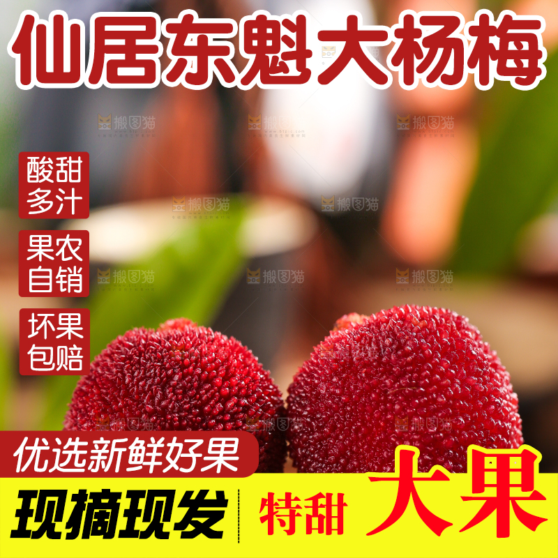 深底上放着余姚杨梅