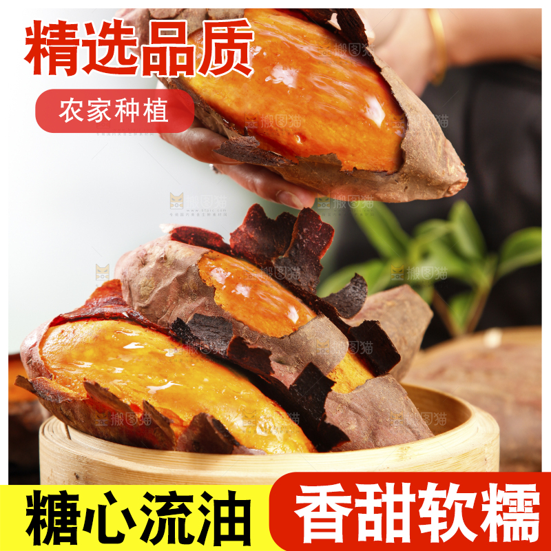 深底上的烟薯