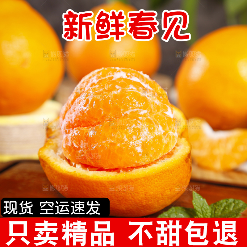 木板上的春见耙耙柑