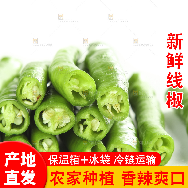 白底上的新鲜青辣椒