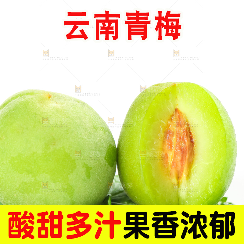 白底上的诏安青梅