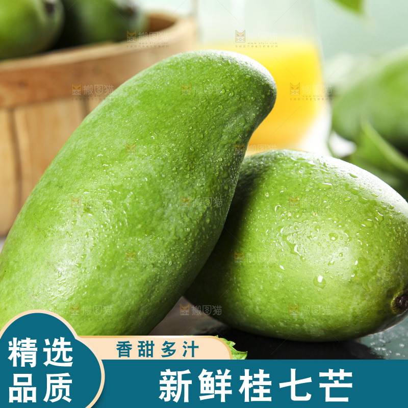 石板上的青皮桂七芒