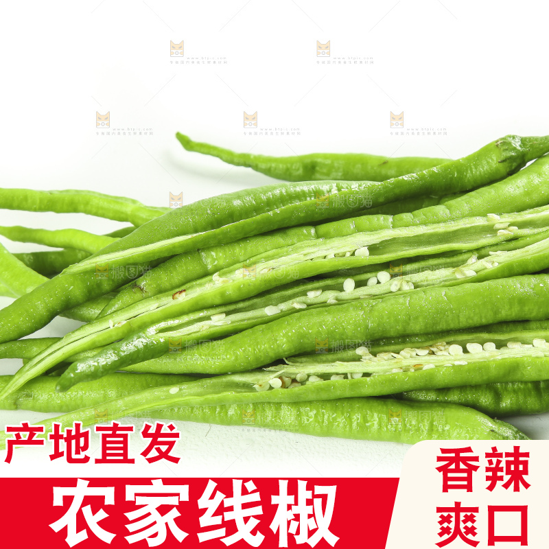白底上的新鲜青辣椒