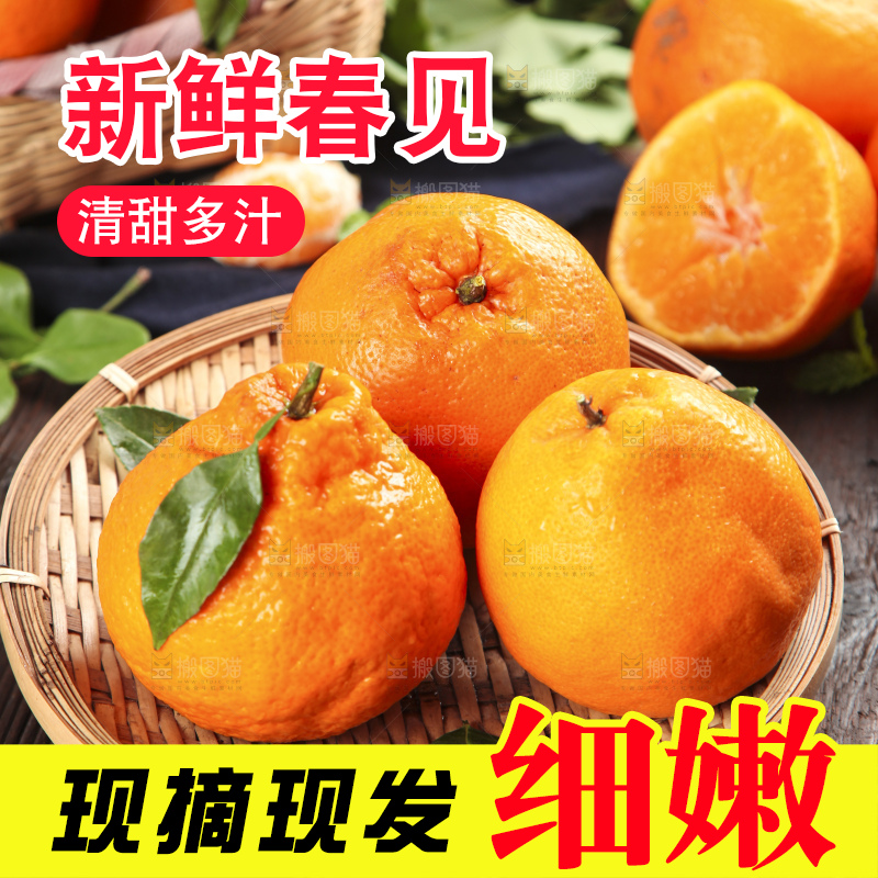 篮子里装着一堆四川春见耙耙柑
