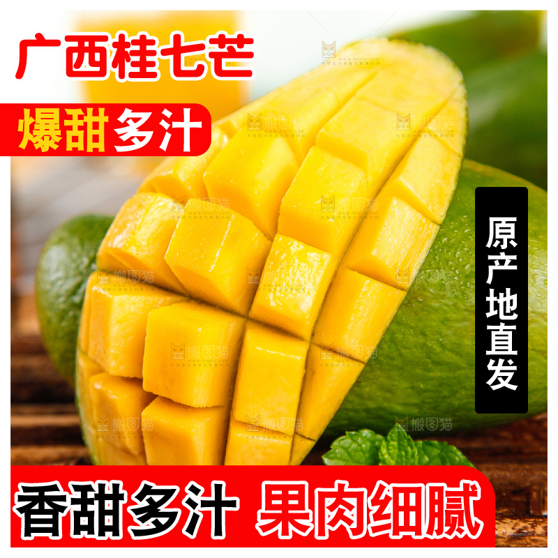 竹底上的青皮桂七芒