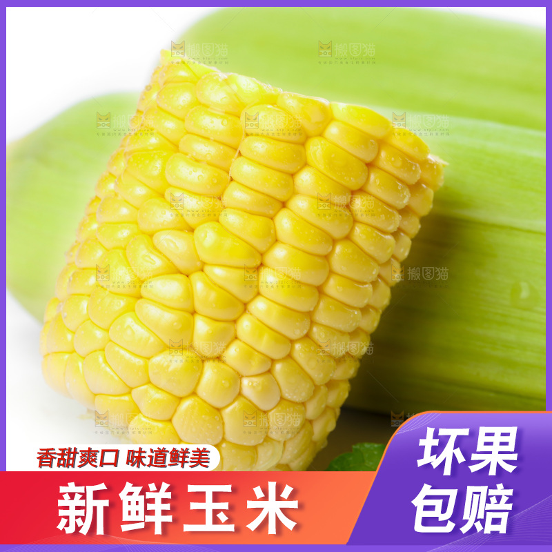 白底上放着新鲜玉米