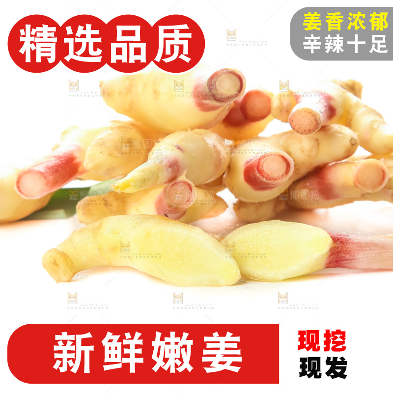 白底上的红芽嫩姜