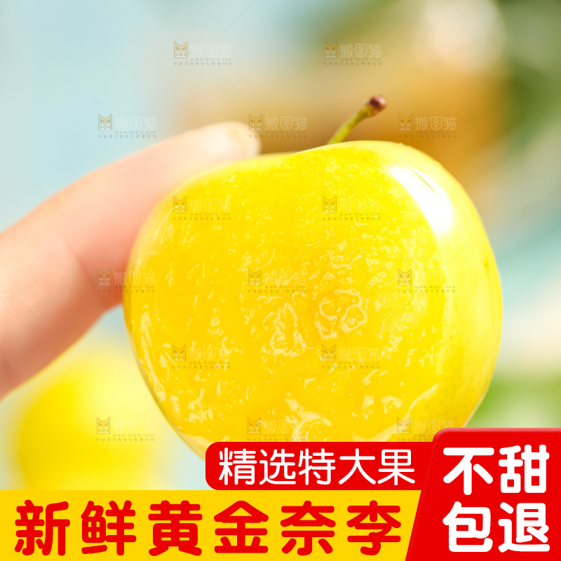 手里拿着新鲜黄金奈李