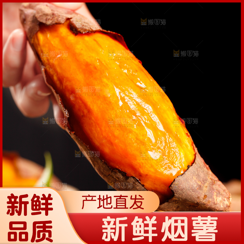 黑底上的山东烟薯