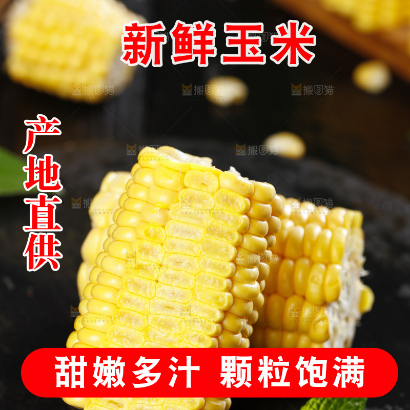 石板上放着黄玉米