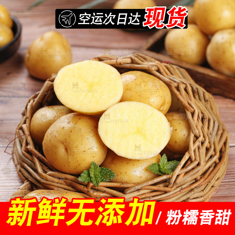 深底上的宜昌小土豆