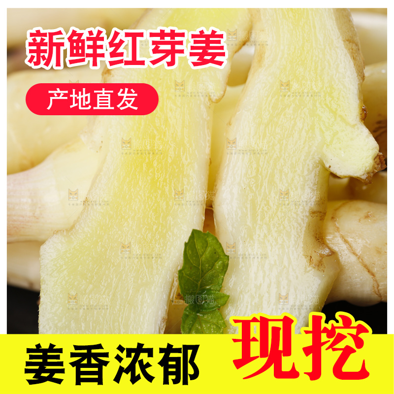 黑石板上放着红芽嫩姜