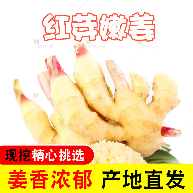 白底上的红芽姜