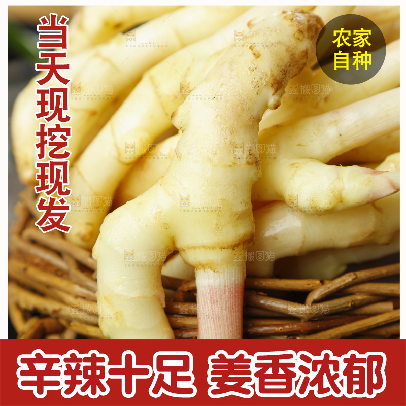 篮子里装着新鲜嫩姜