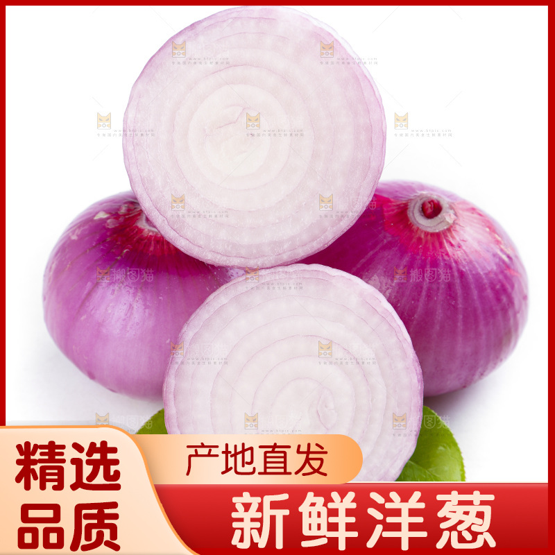 白底上的新鲜洋葱