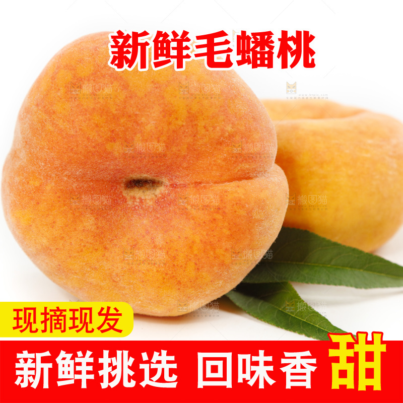 白底上的蒙阴毛蟠桃