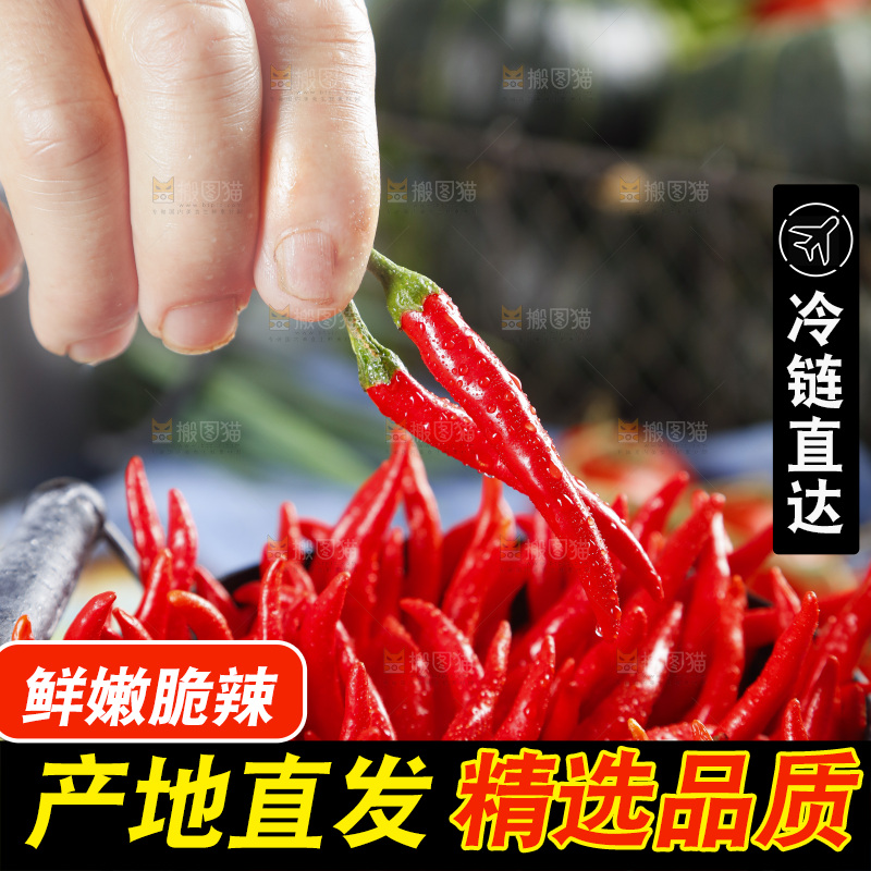 桶里装着小米椒