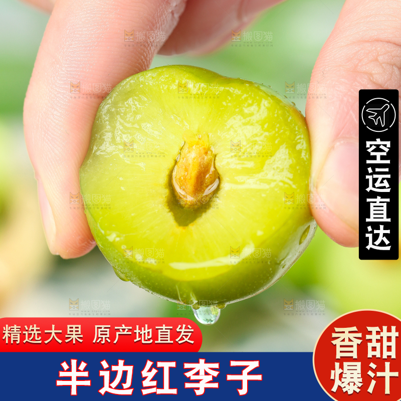 手里拿着脆红李