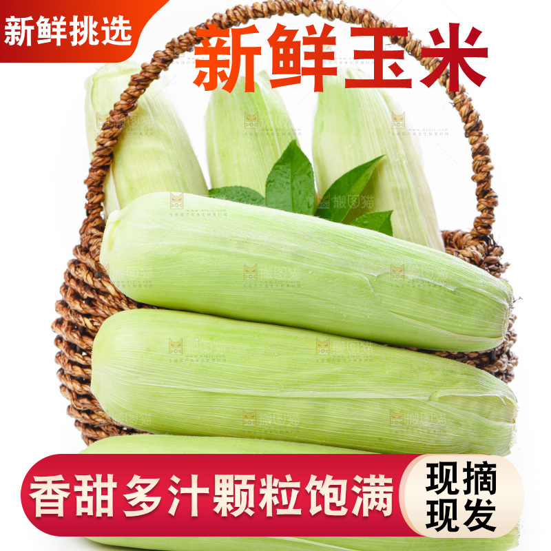 篮子子装着玉米棒